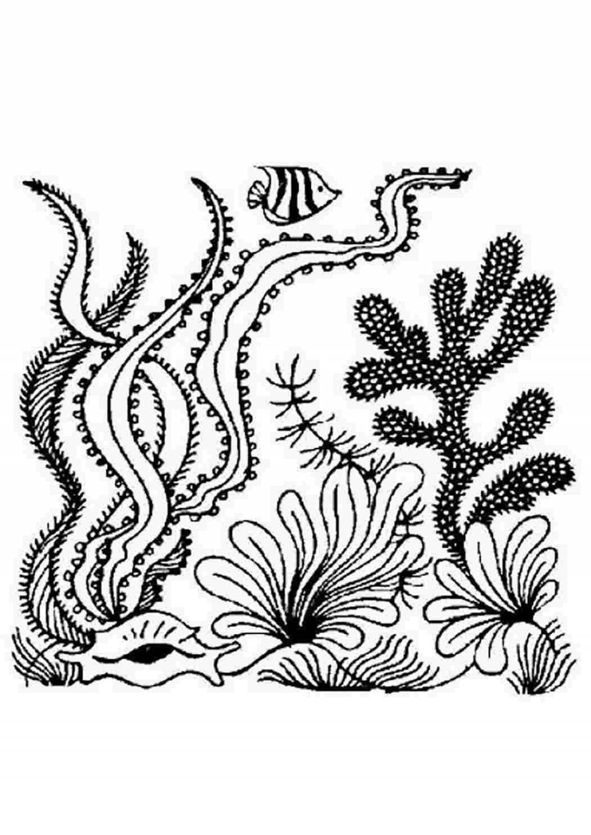 Amazing seaweed coloring pages for kids