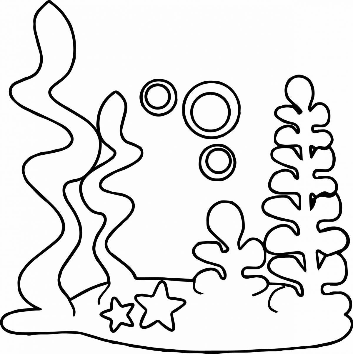 Innovative seaweed coloring page for kids