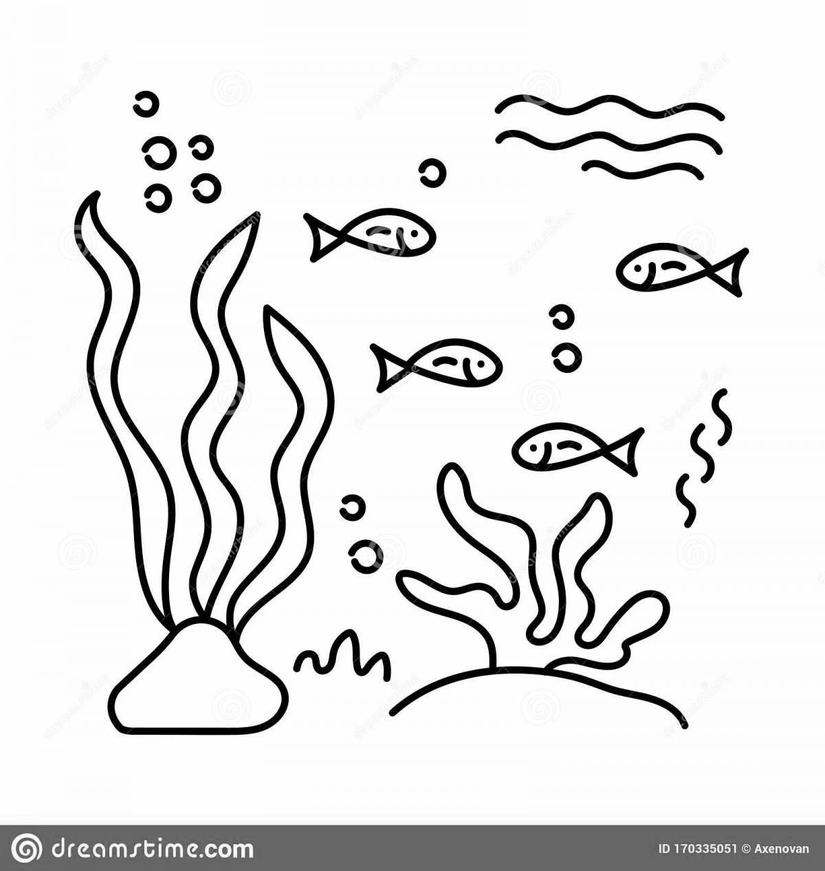 Coloured algae coloring pages for children