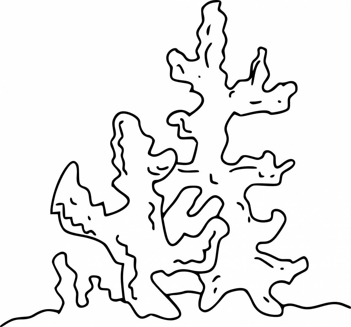 Coloured algae coloring pages for children