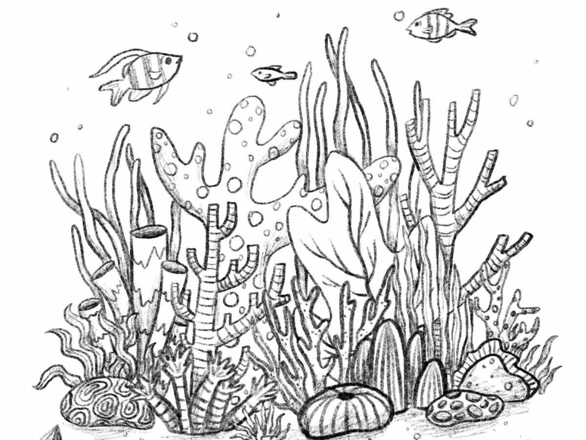 Color-frenzy seaweed coloring pages for kids