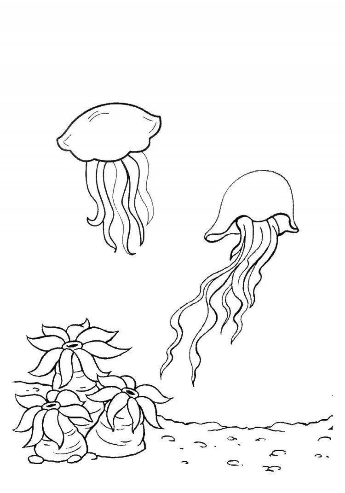 Coloring pages with colorful algae for kids