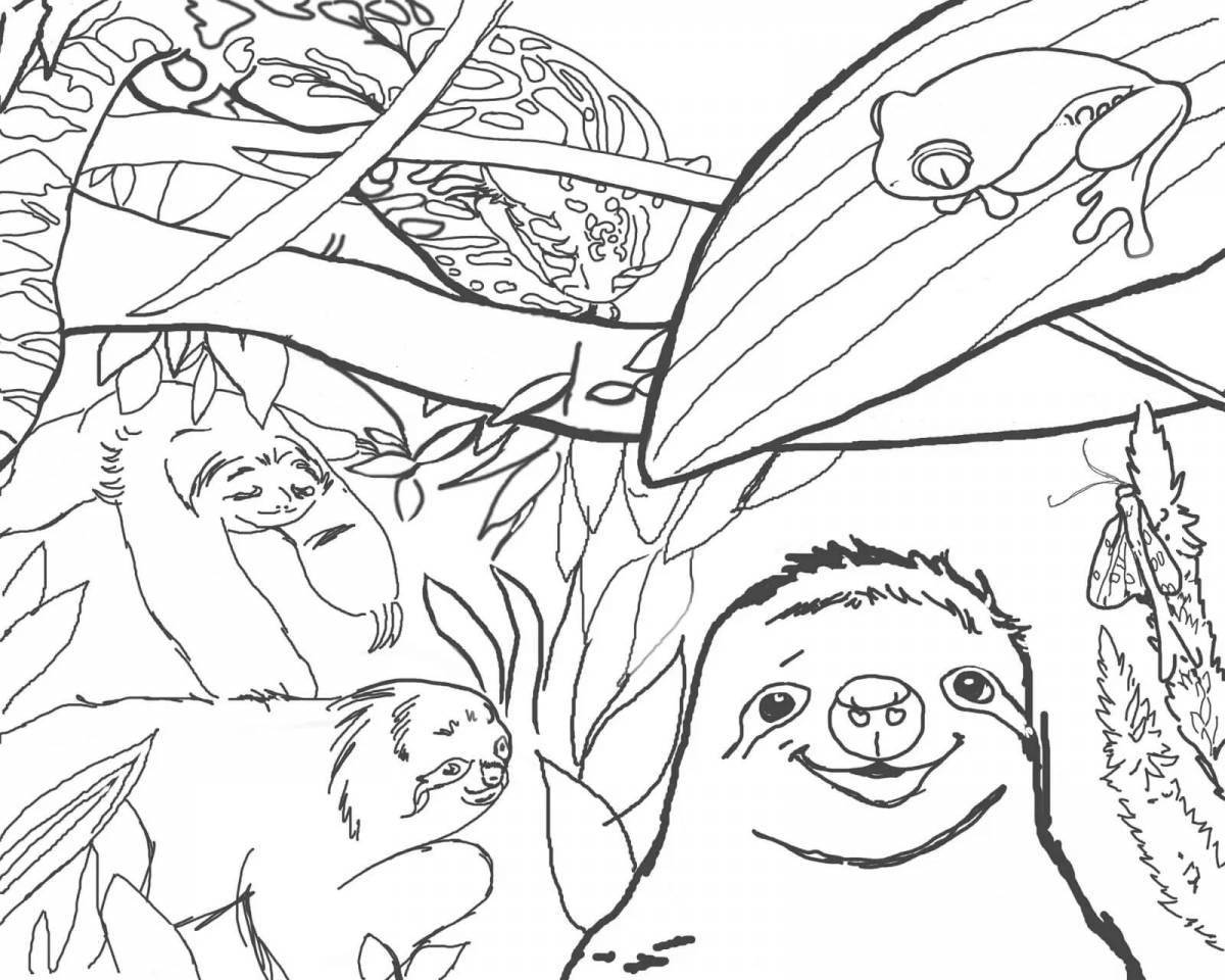 Colorful sloth coloring book for kids