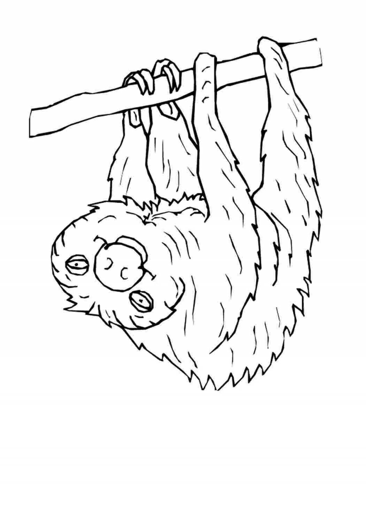 Relaxing sloth coloring book for kids