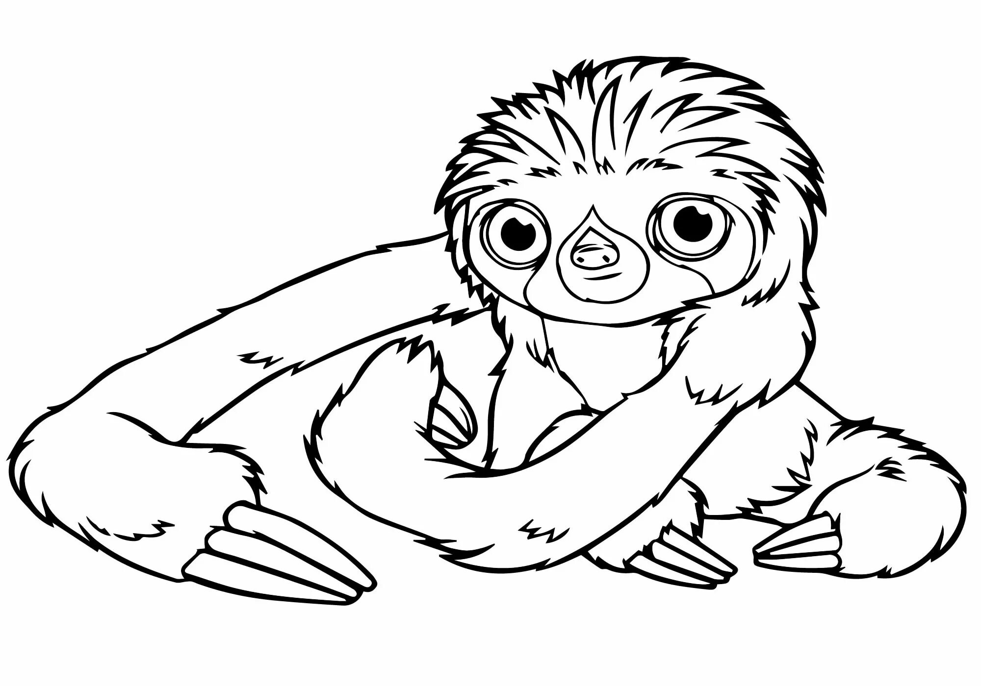 Sloth for kids #3