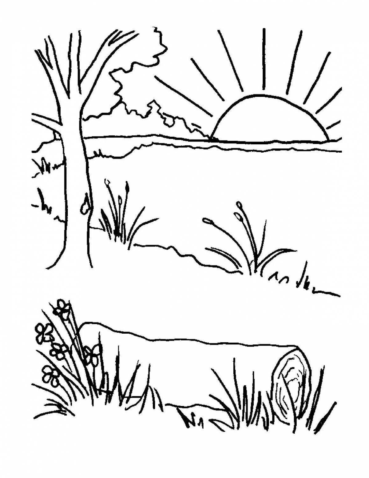 Harmonious sunset coloring book for kids