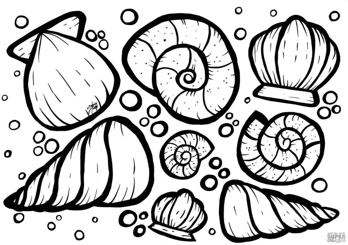 Colorful seashells coloring page for kids