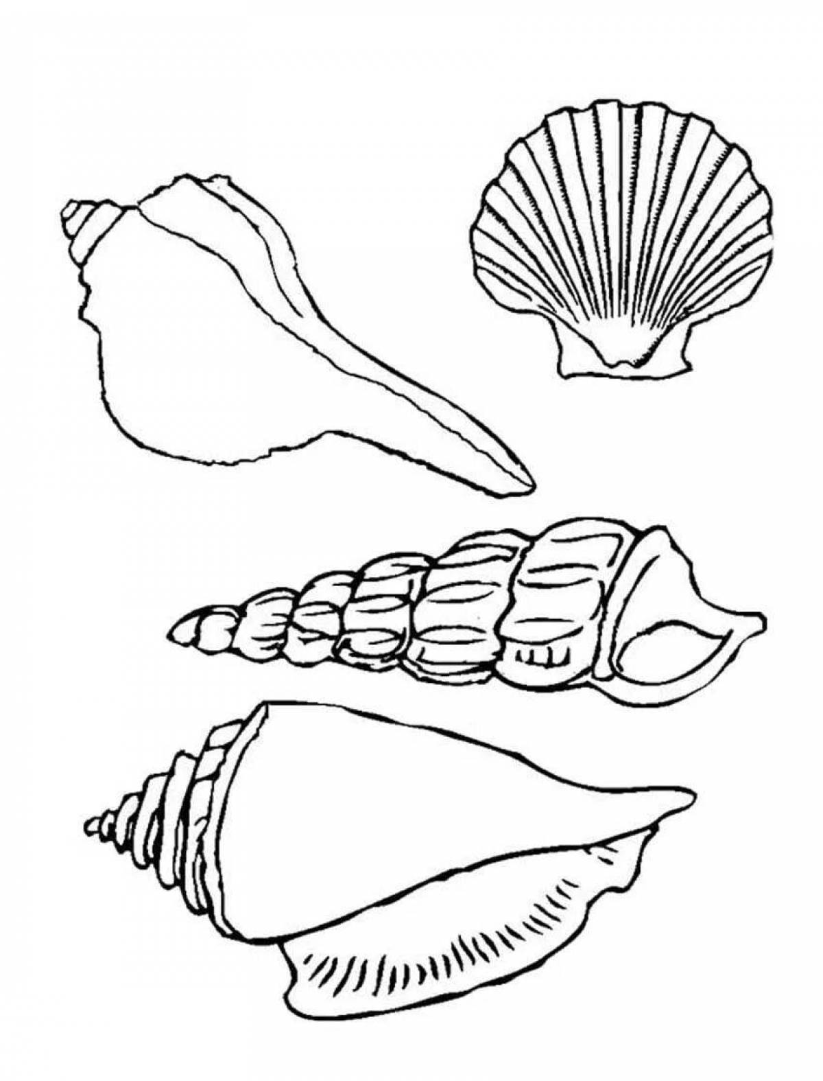 Fun shell coloring for kids