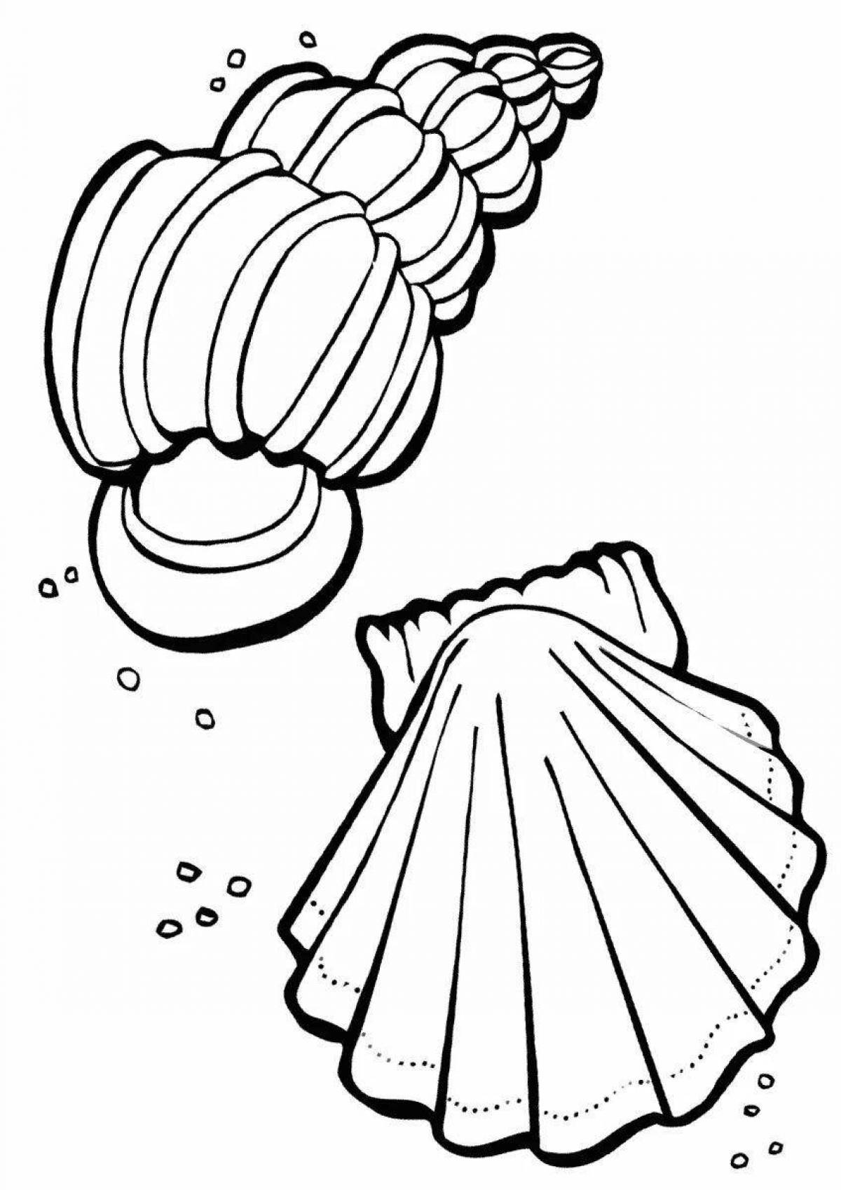 Adorable shell coloring book for kids