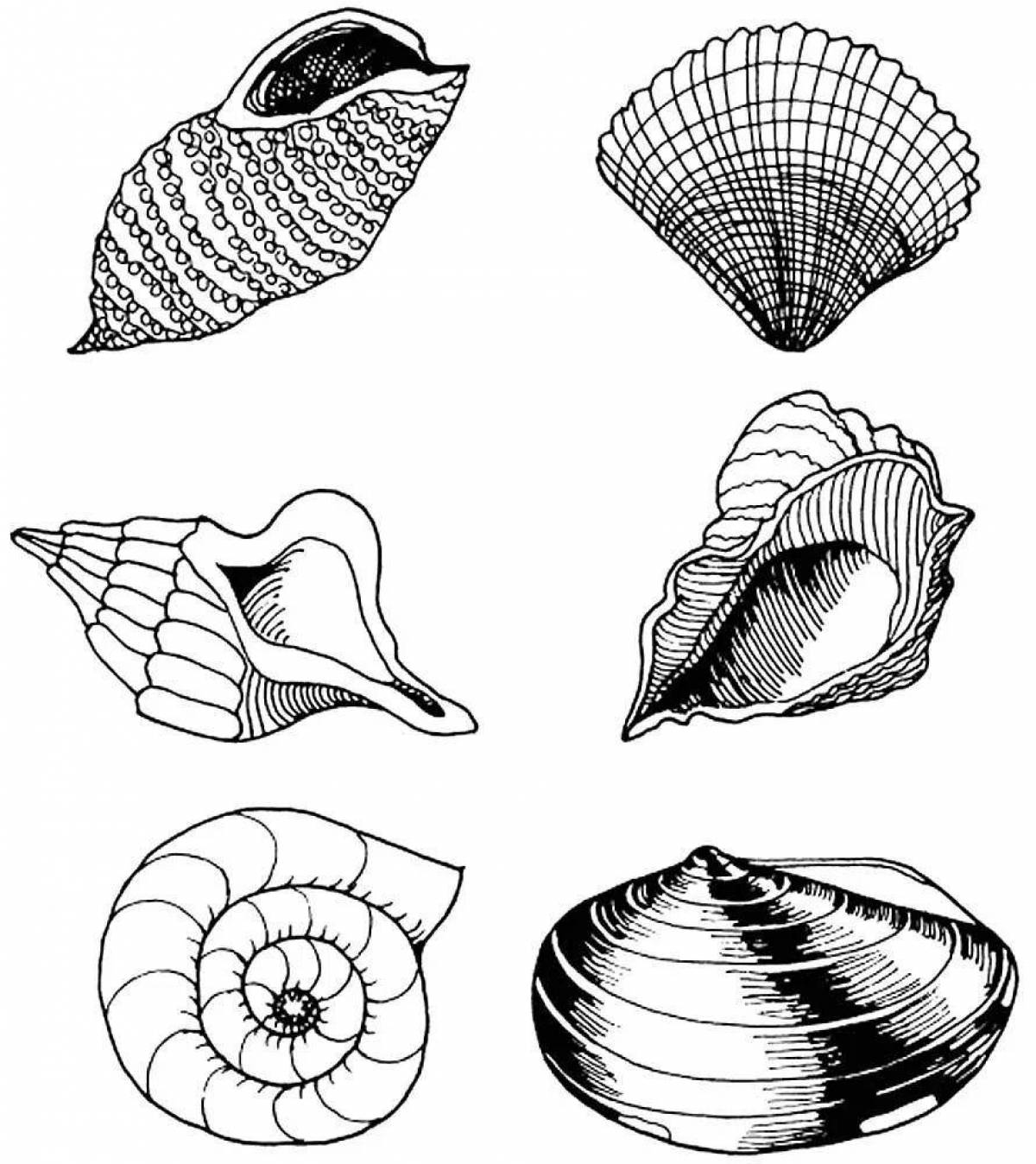 Glittering shell coloring book for kids