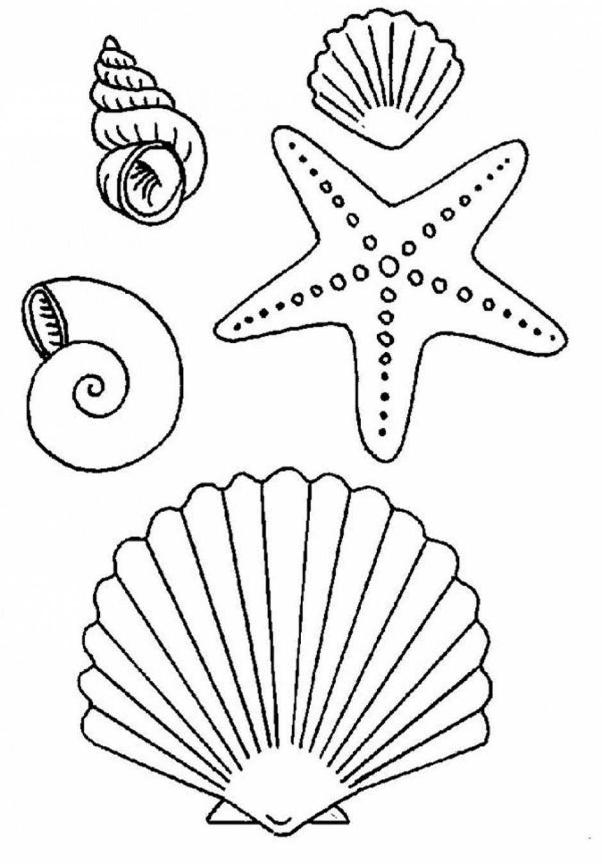 Fabulous shell coloring for kids