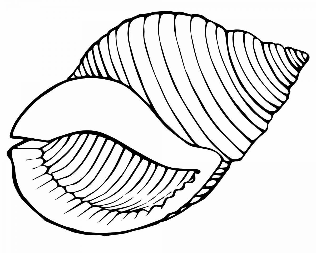 Amazing seashells coloring page for kids