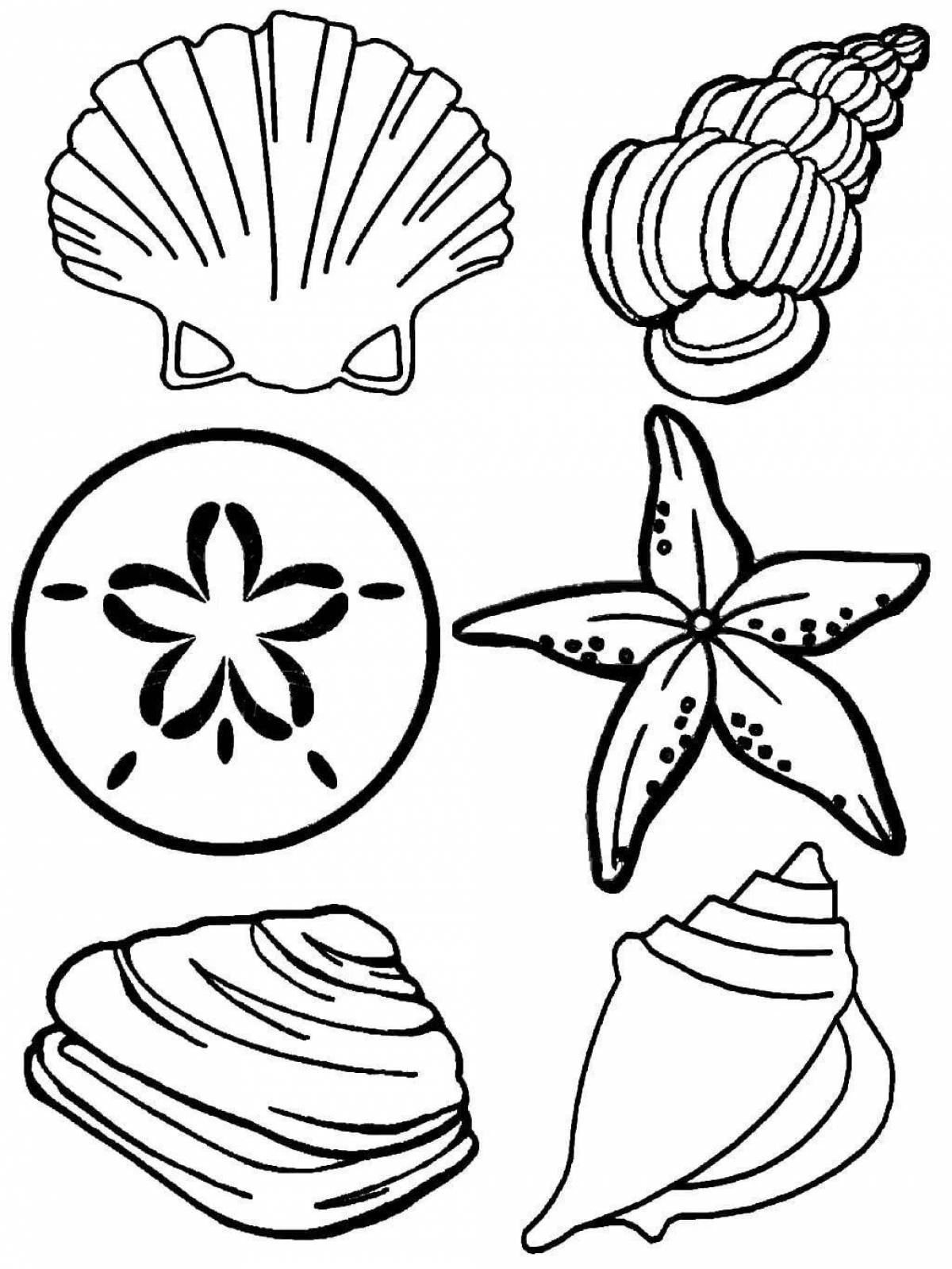 Cute shell coloring book for kids