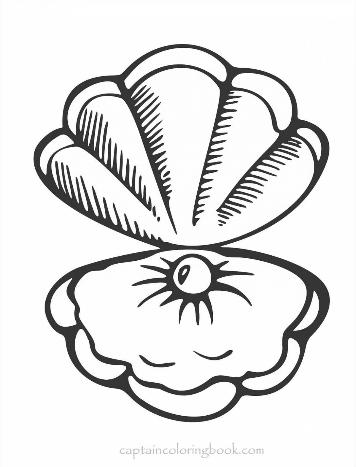 Adorable seashell coloring book for kids