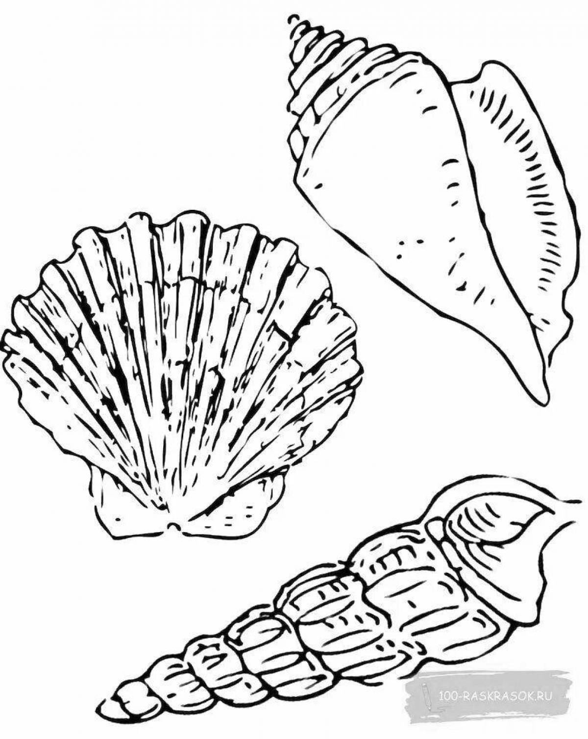 Amazing shell coloring for kids
