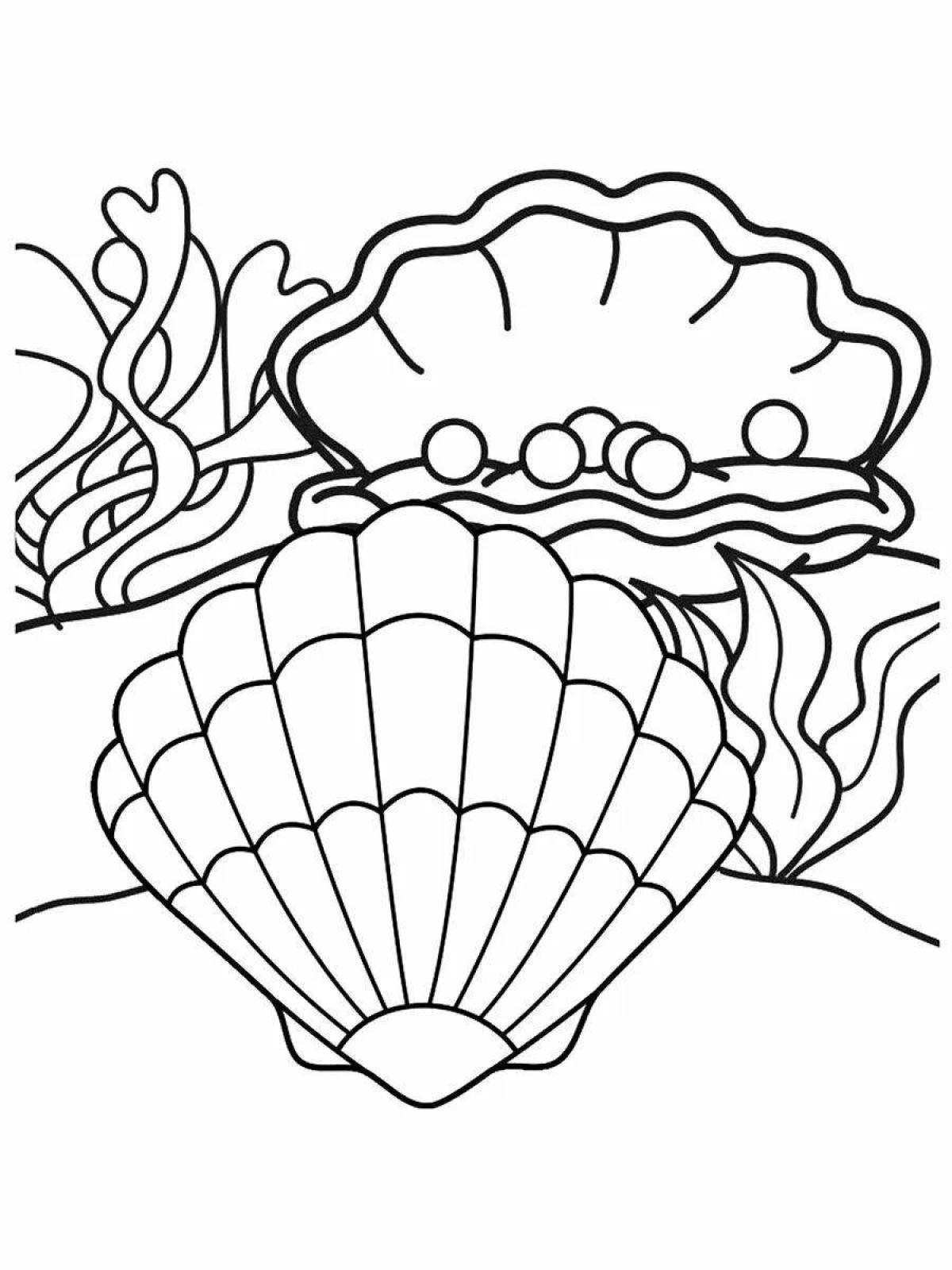 Exquisite shell coloring for kids