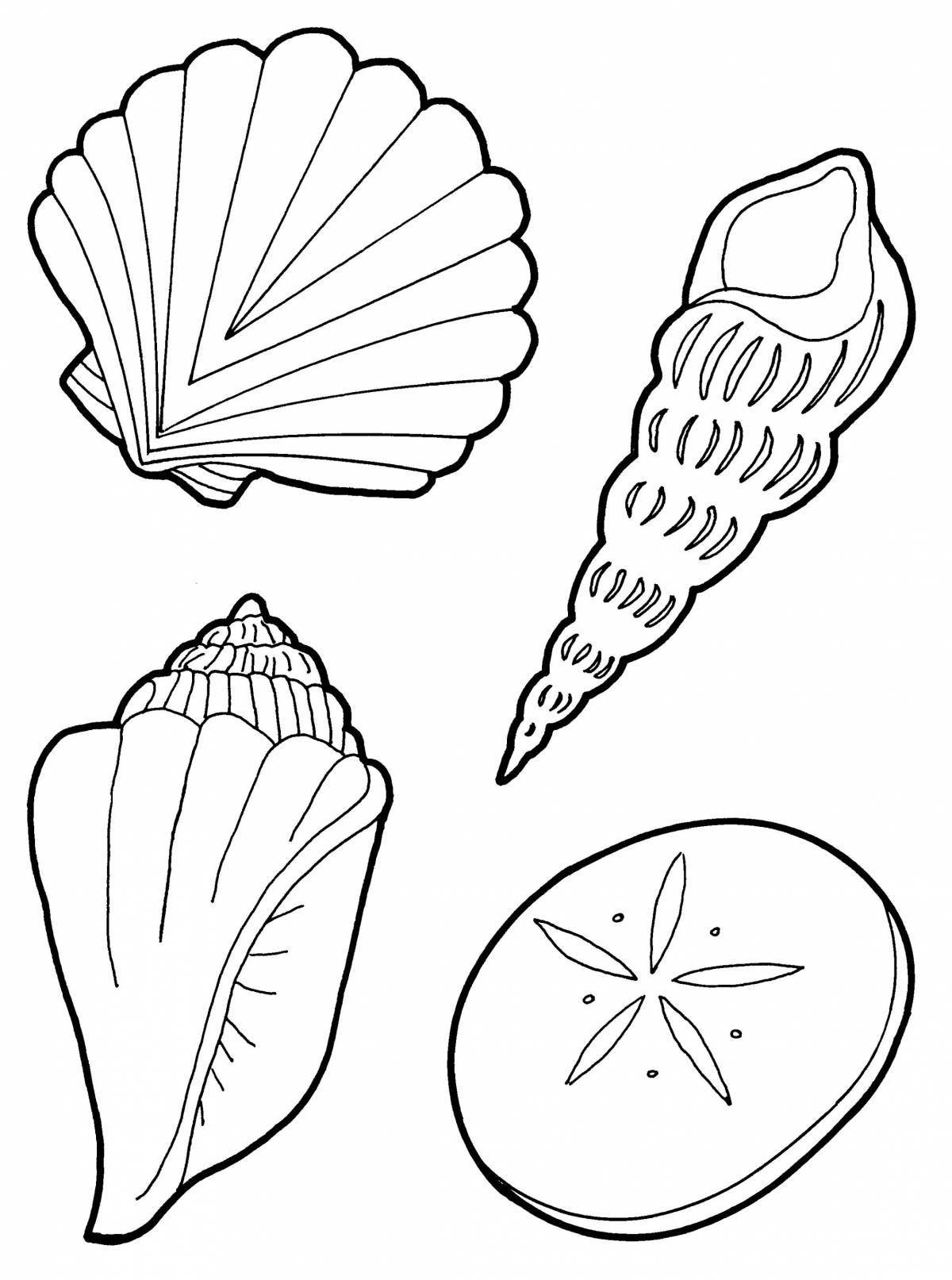 Exuberant shell coloring book for kids