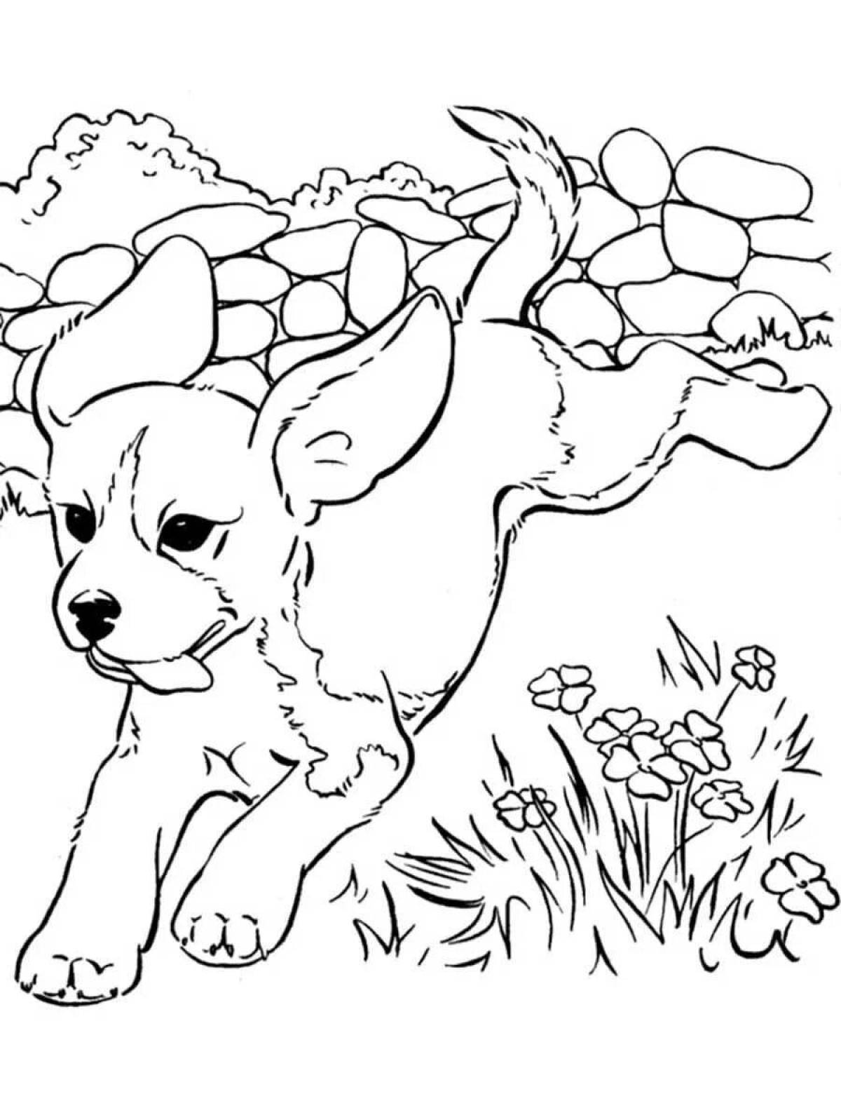 Раскраска волнистый щенок