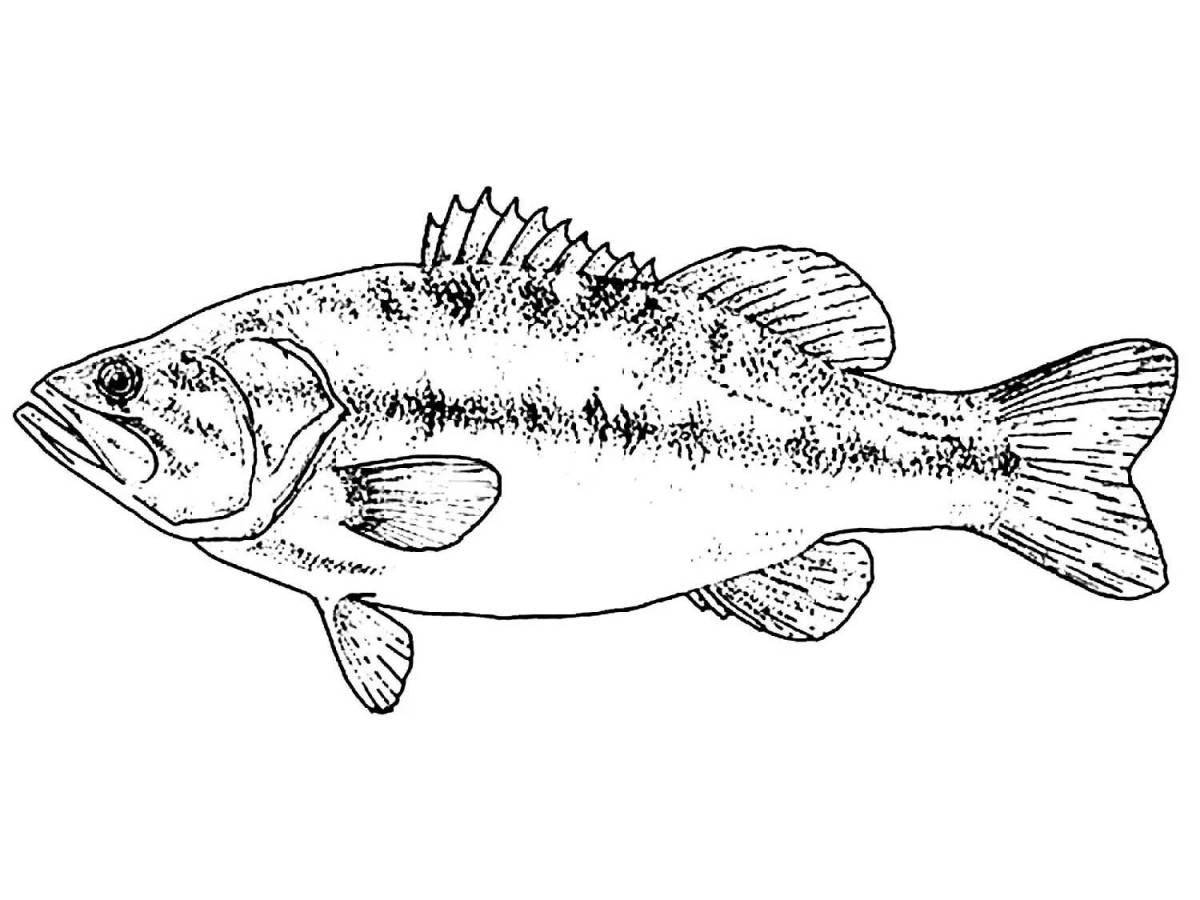 Очаровательная раскраска ерша для малышей
