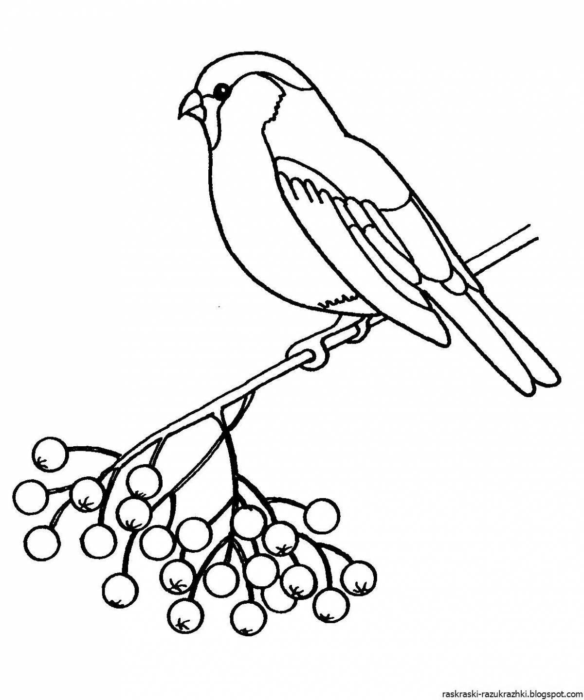 Bright drawing of a bullfinch for children
