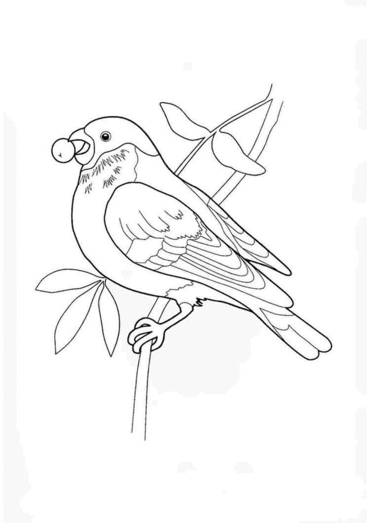 Joyful drawing of a bullfinch for children