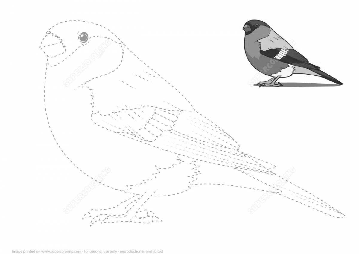 Sweet drawing of a bullfinch for kids