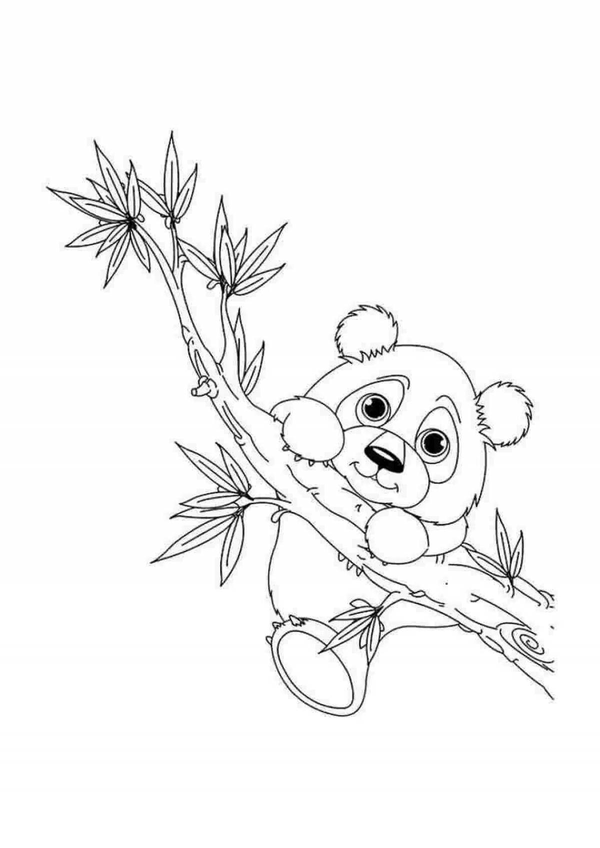 Colourful panda coloring pages for girls