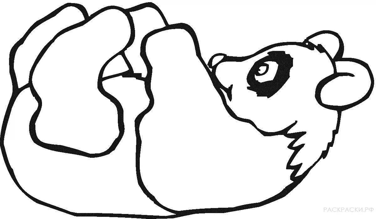 Gorgeous panda coloring pages for girls