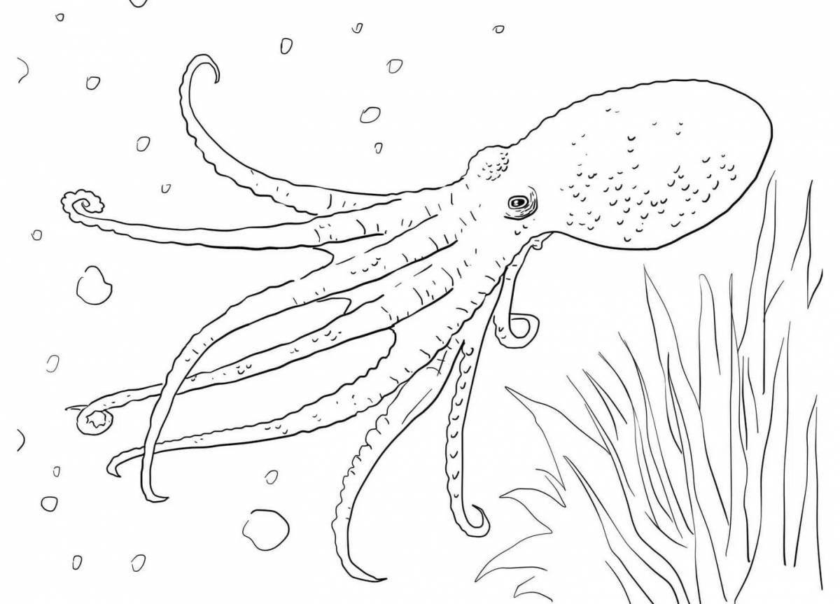 Humorous coloring book marine life
