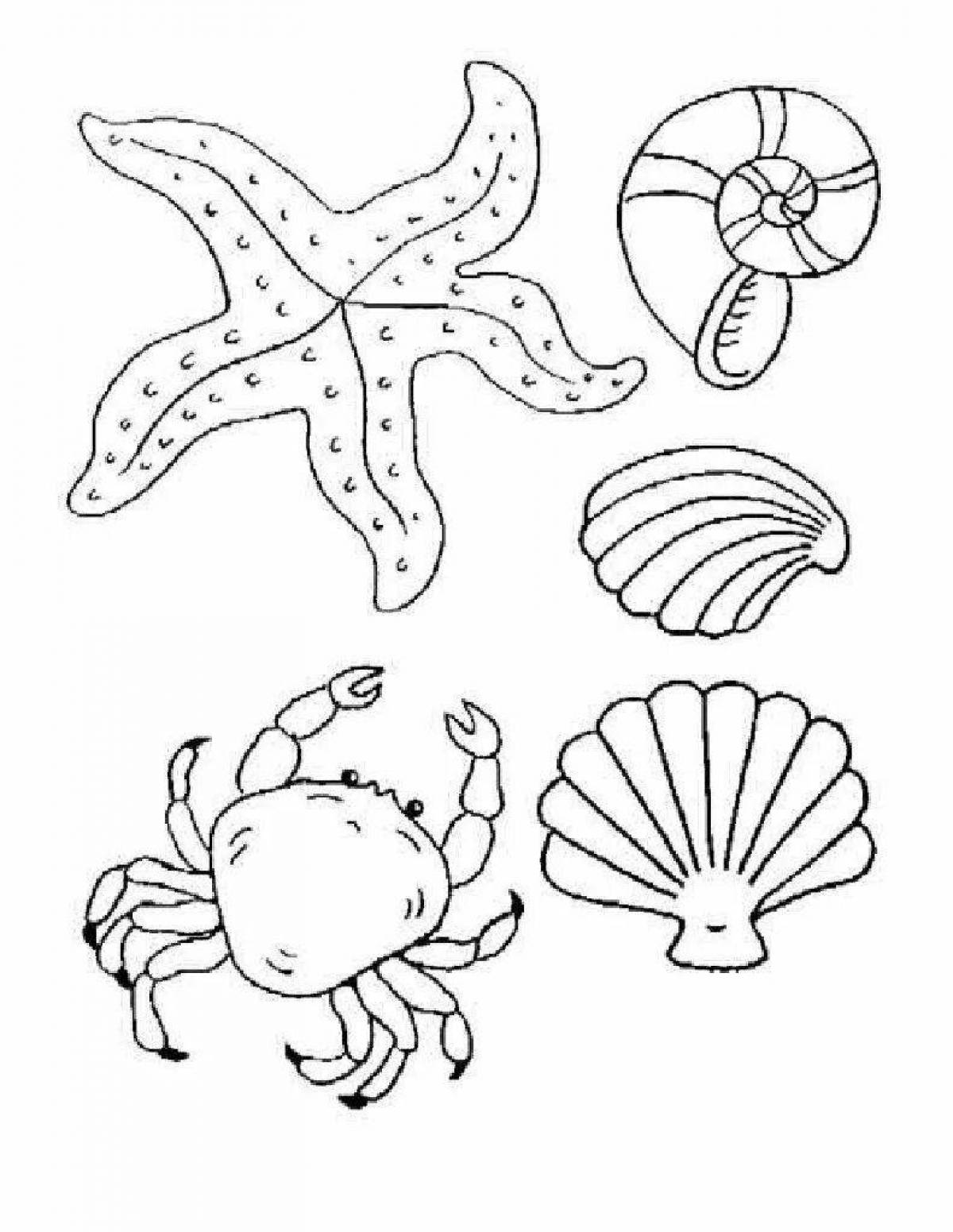 Fancy coloring pages of marine life