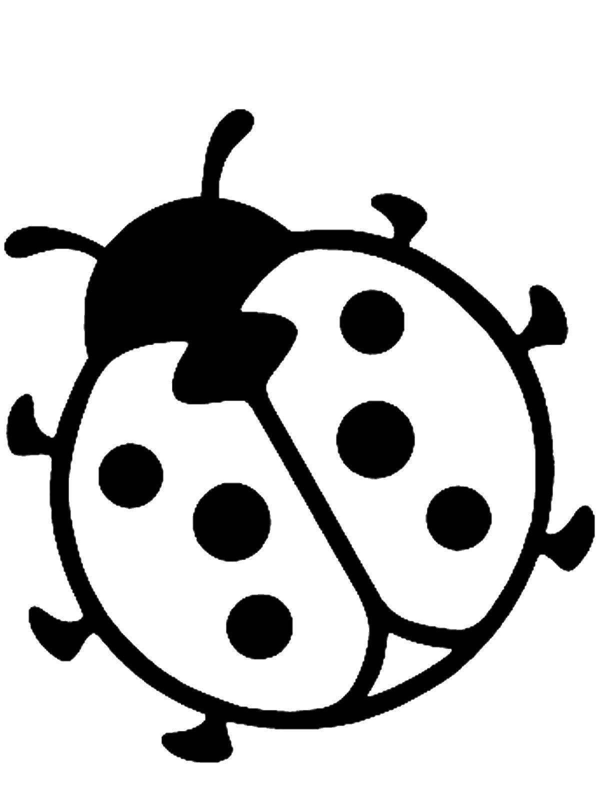 Joyful ladybug coloring for kids