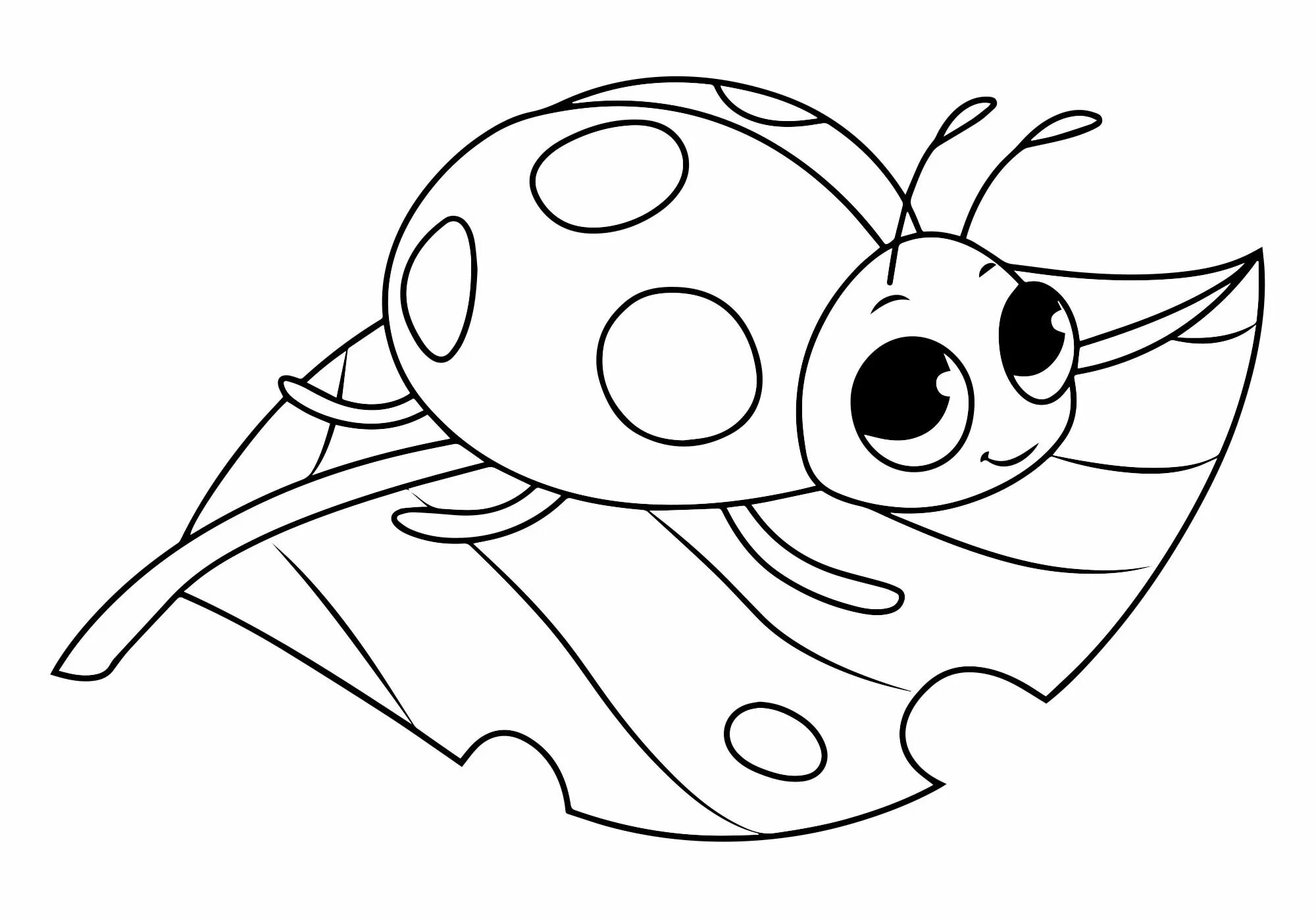 Baby ladybug #2