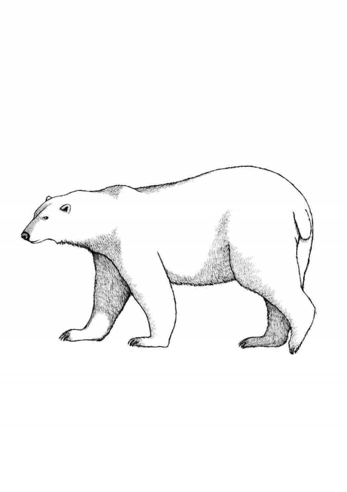 Раскраска дружелюбный белый медведь для детей