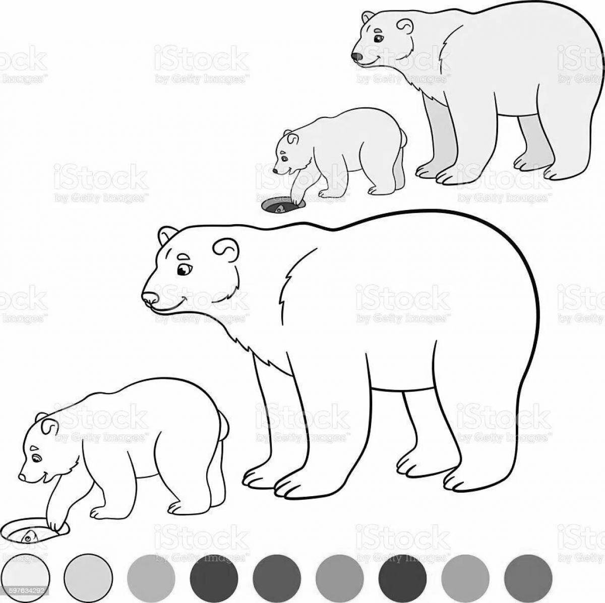 Увлекательная раскраска «белый медведь» для детей