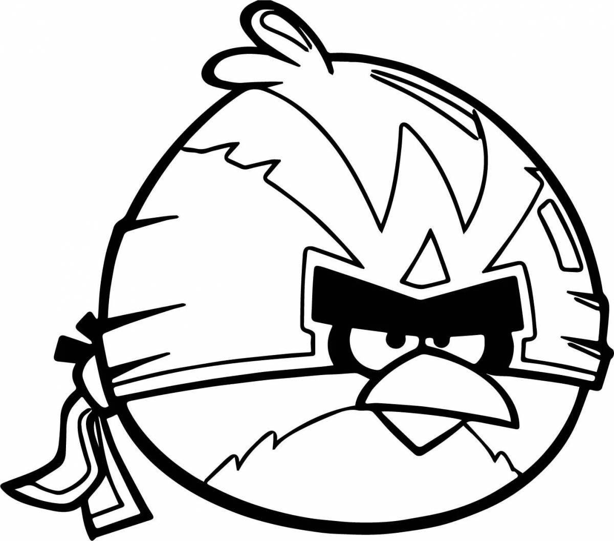 Coloring pages angry birds for kids