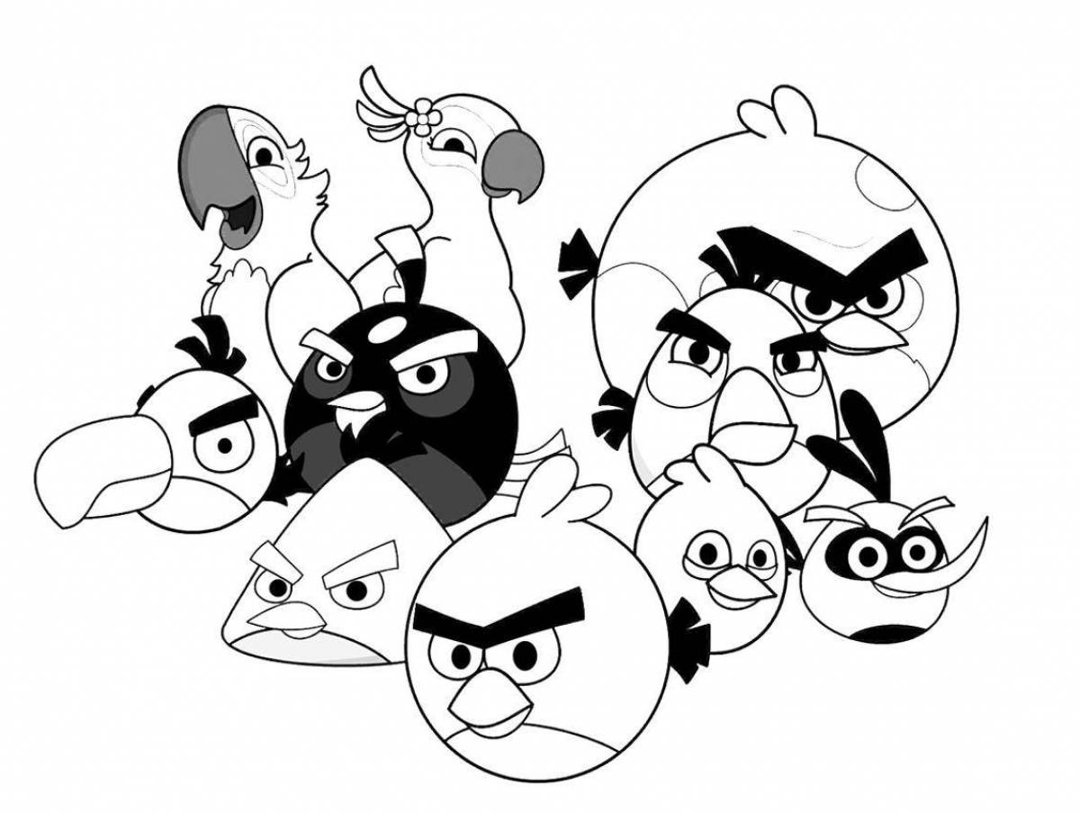Funny coloring of angry birds for children