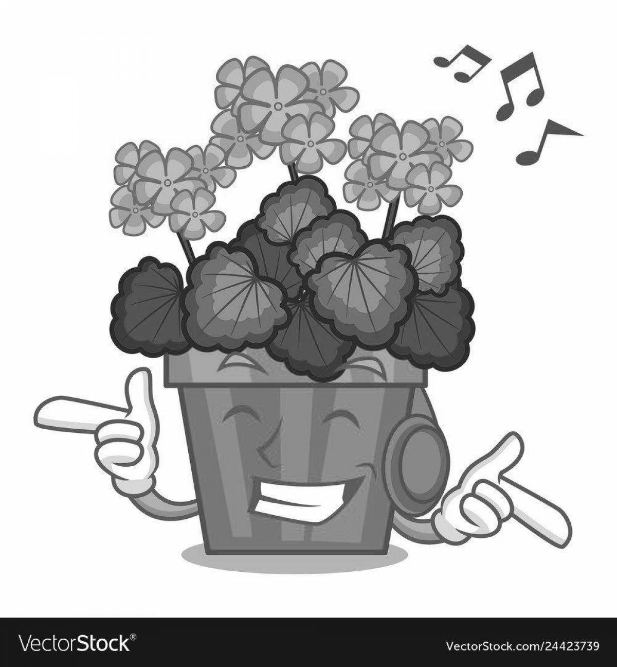 Playful geranium in a baby pot