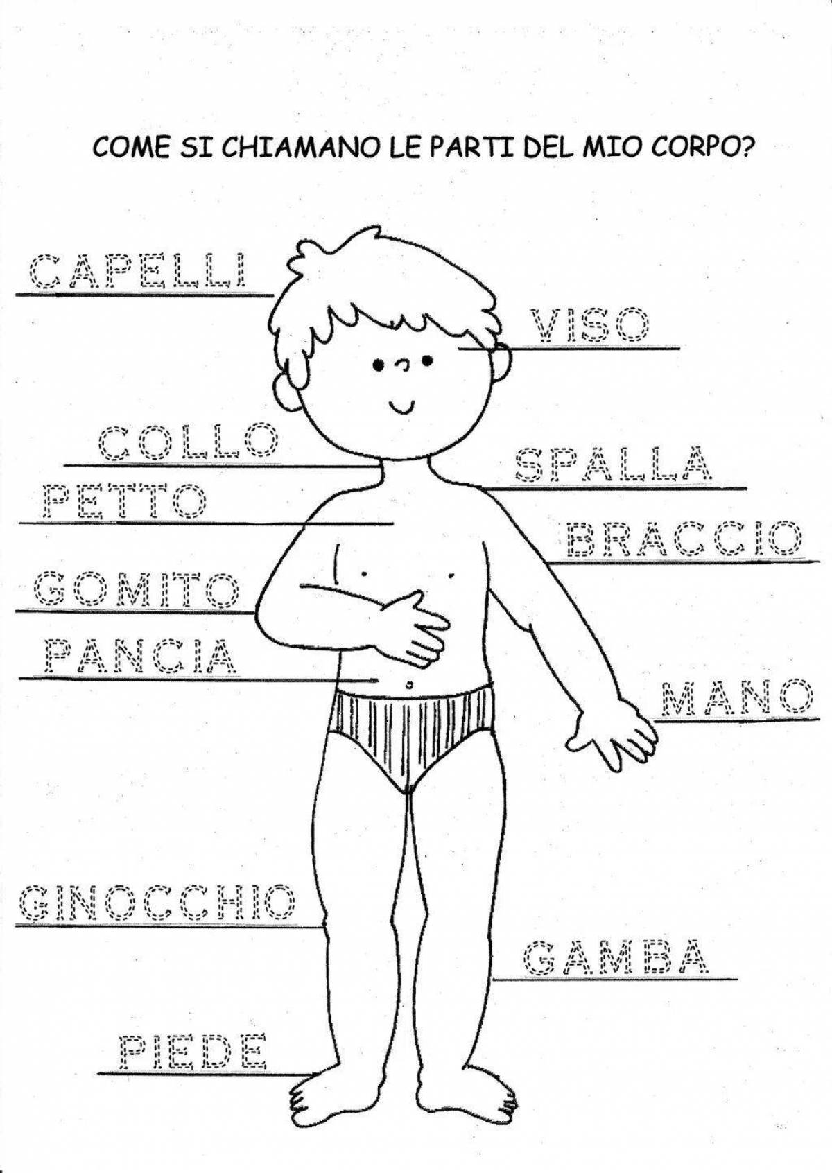 An interesting coloring of the structure of the human body for babies