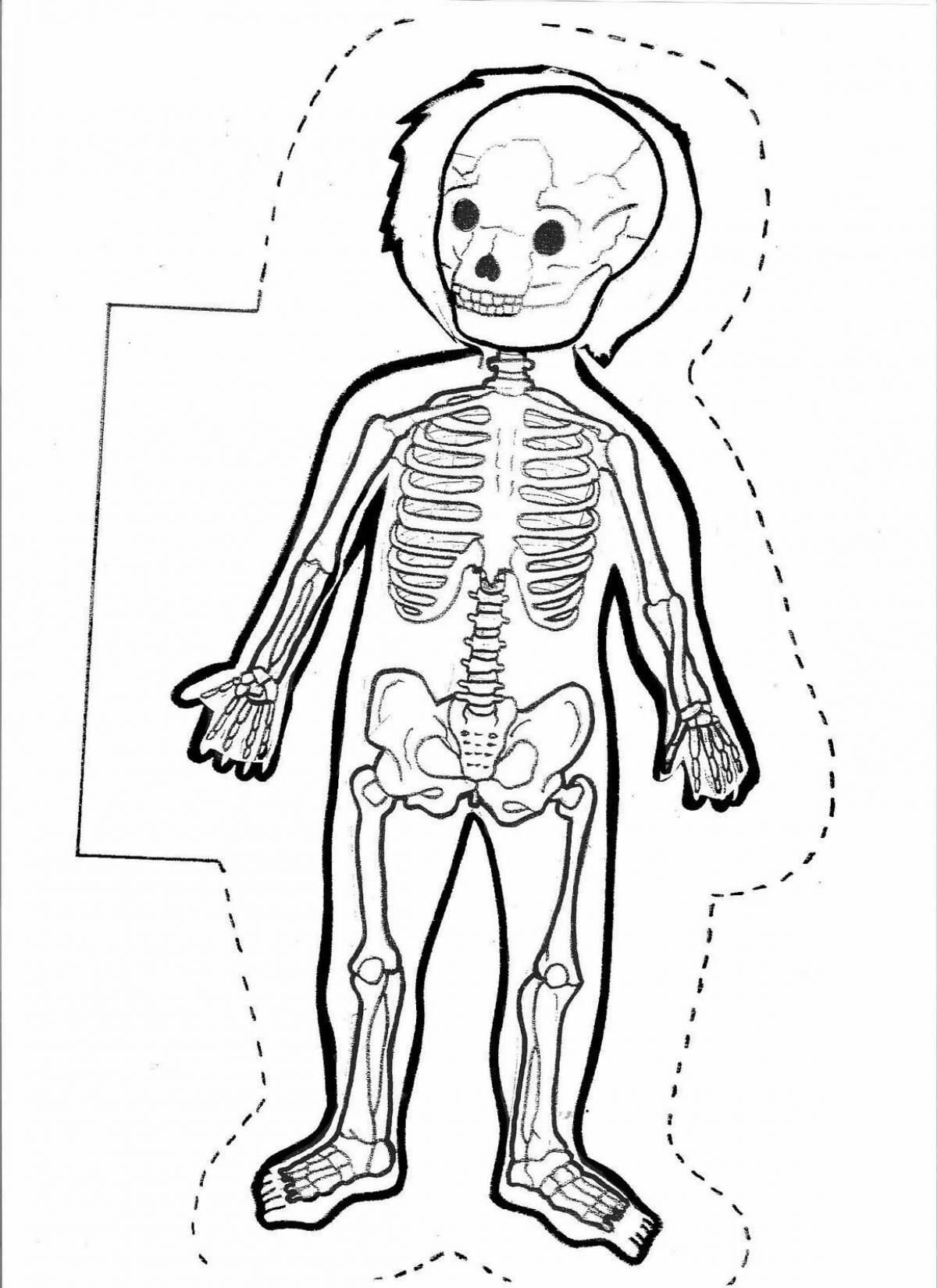 Human body structure for kids #6