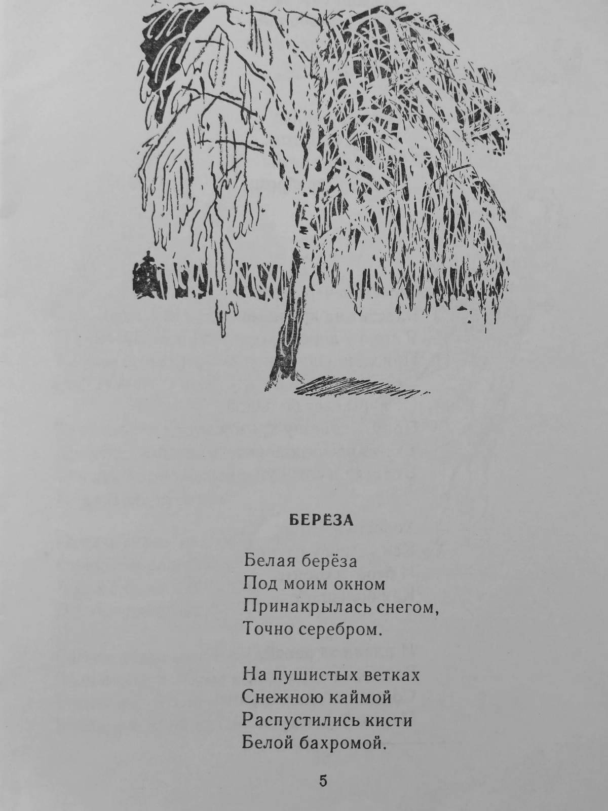 Стих белая книга