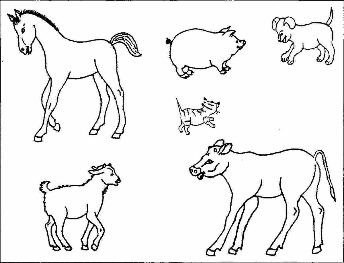 Домашние животные и их детеныши картинки для детского сада раскраски