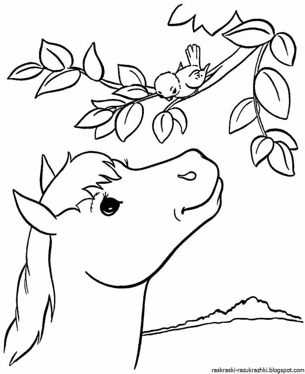 Playful animal coloring for children 10-12 years old