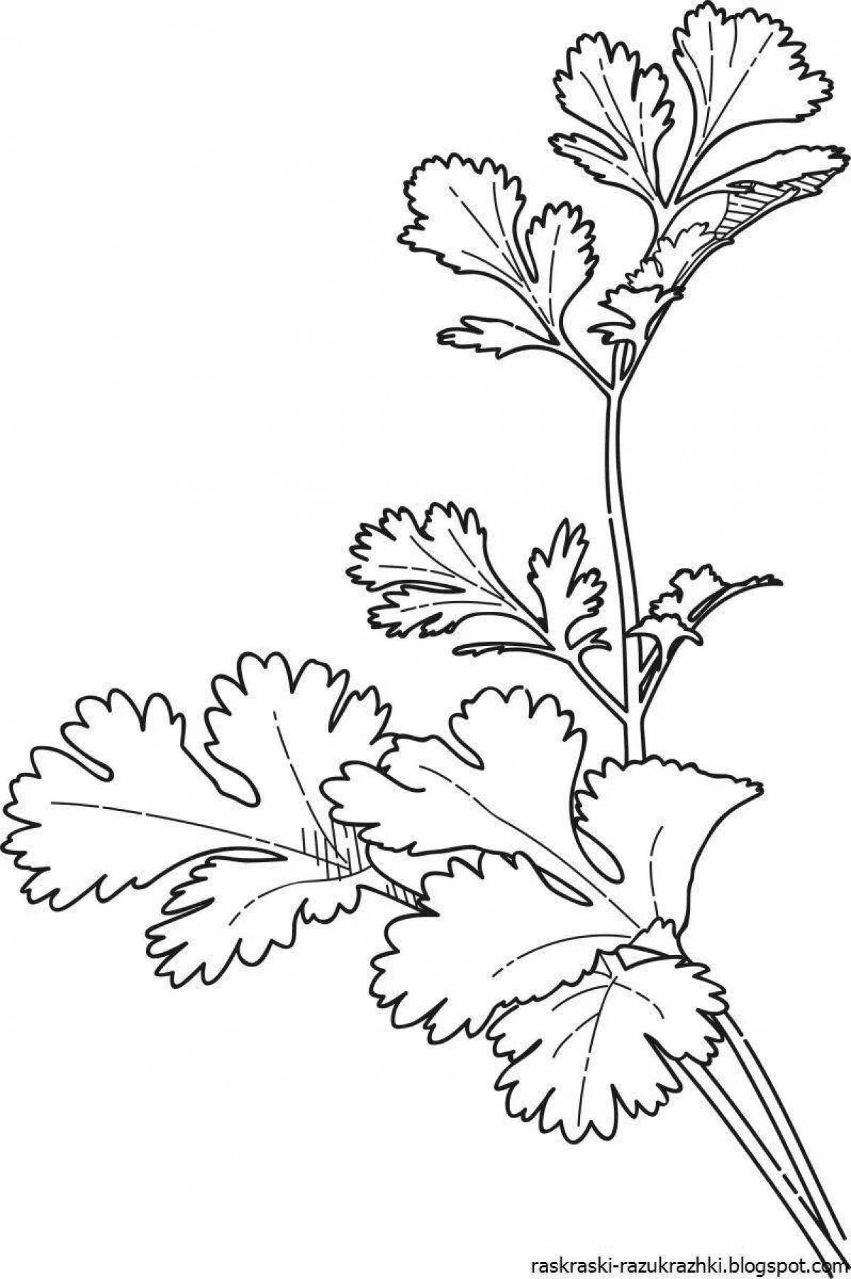 Delightful parsley coloring book for kids