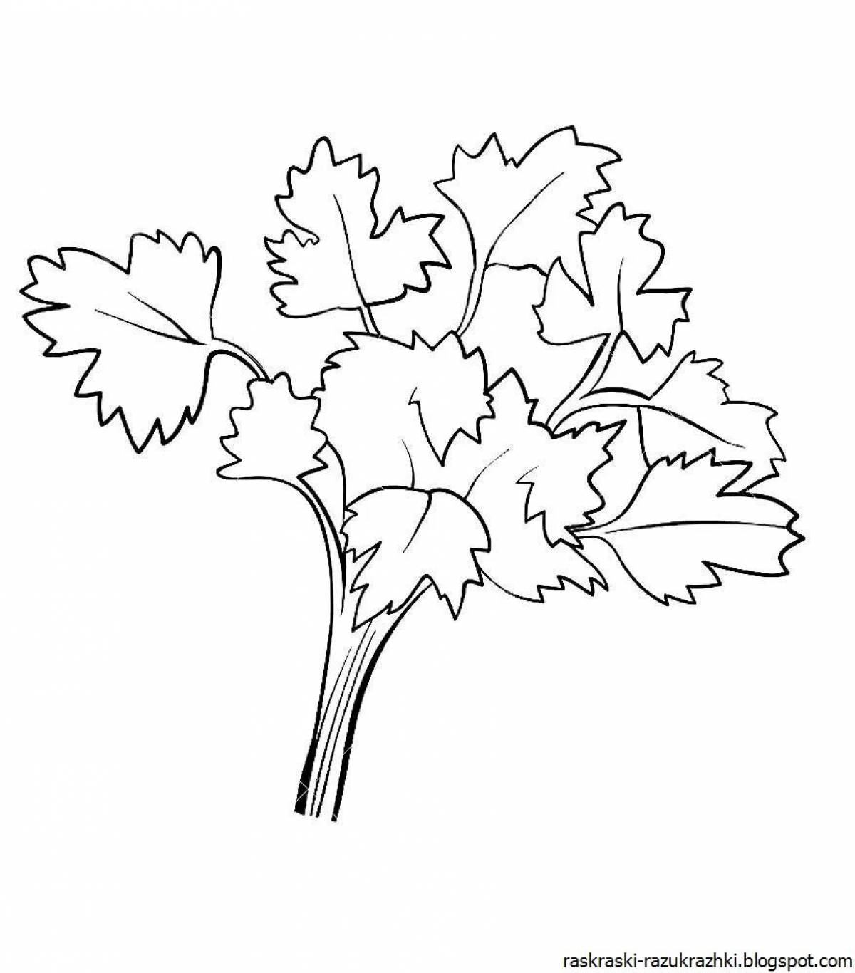 Beautiful parsley coloring page for little ones