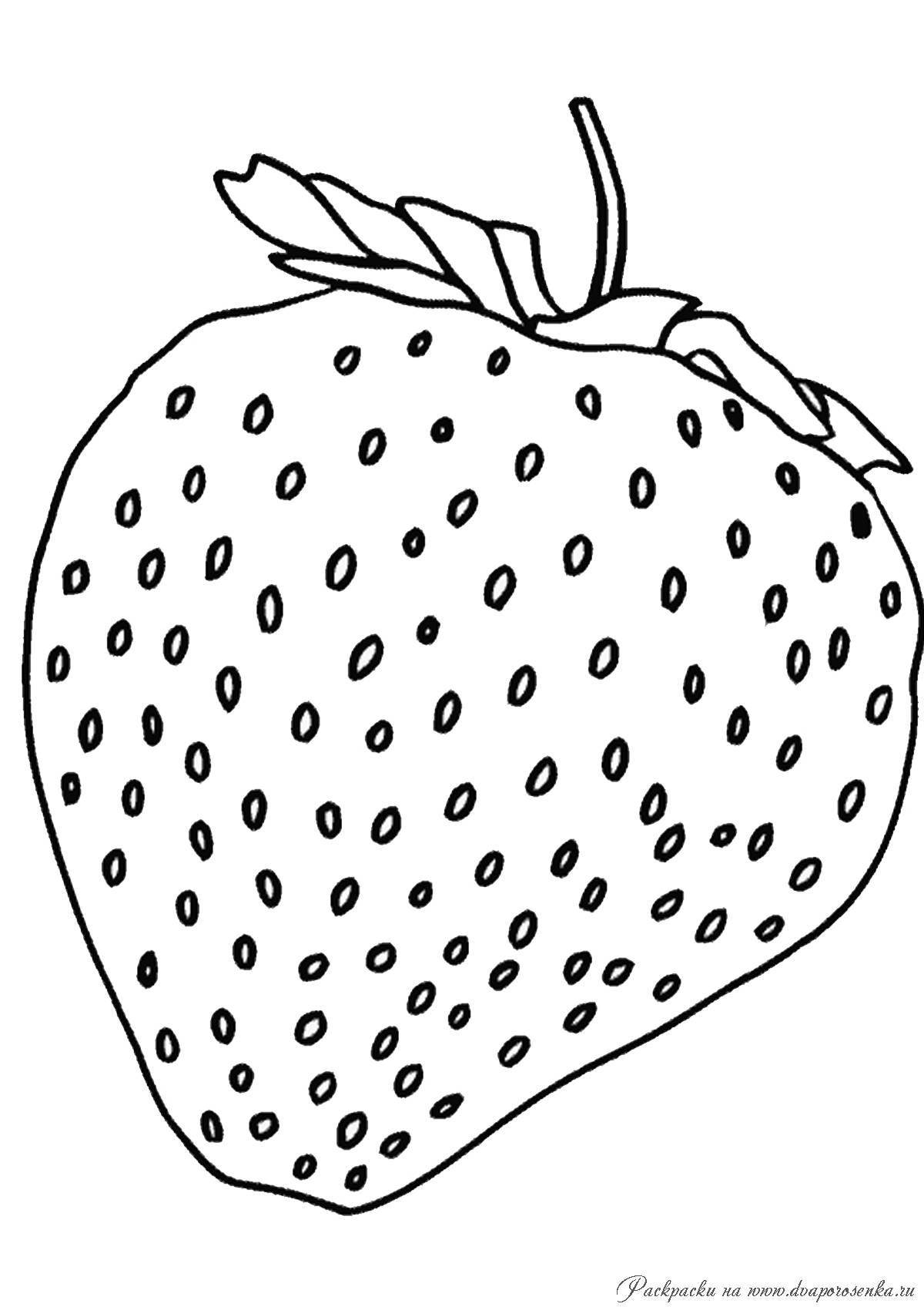 Impressive strawberry coloring book for kids 5-6 years old