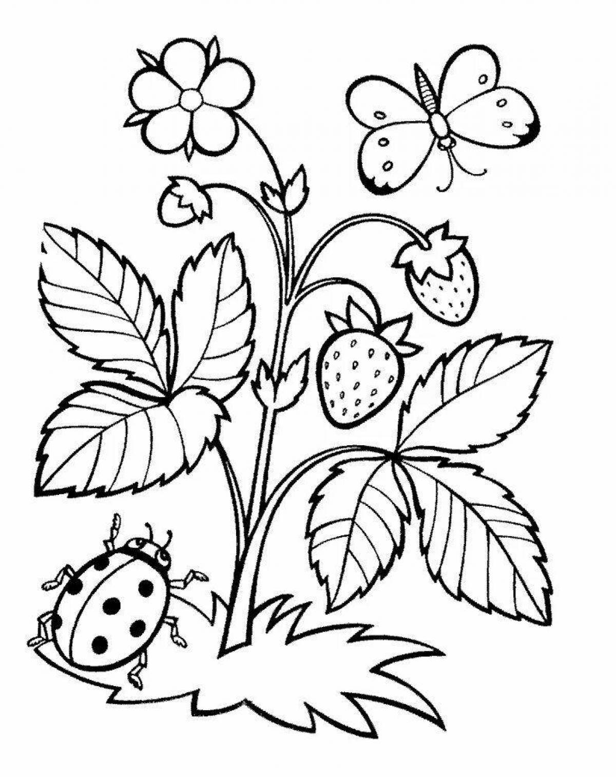 Inspirational strawberry coloring book for 5-6 year olds