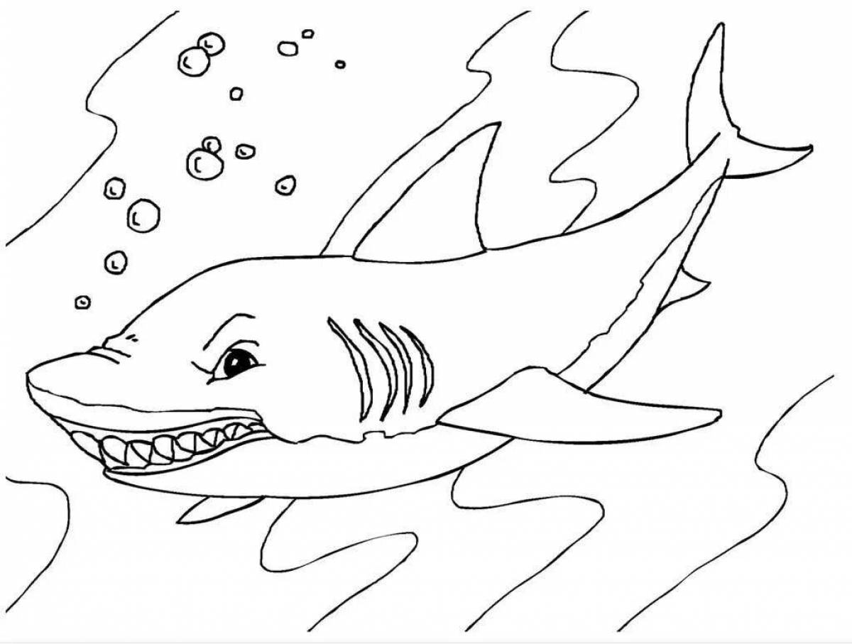 Веселая акула-раскраска для детей 6-7 лет