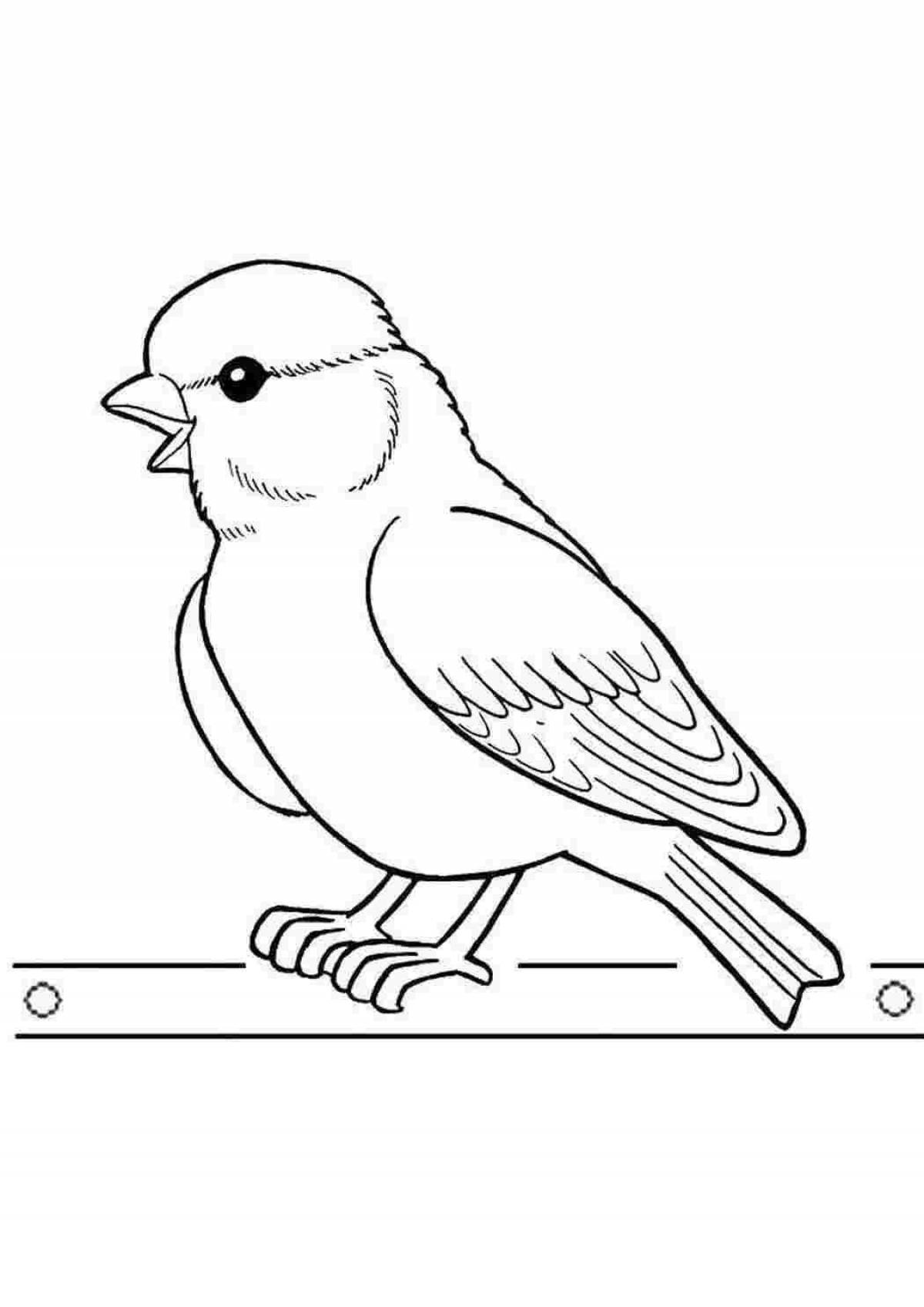 Titmouse coloring page for children 2-3 years old
