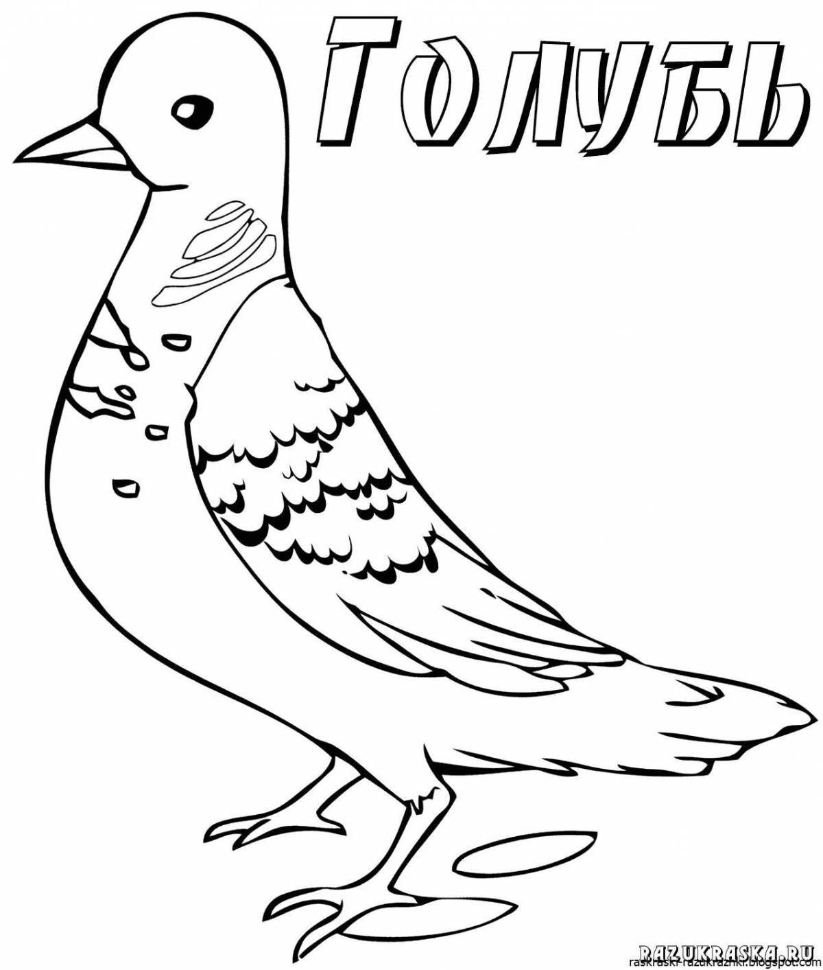 Violent coloring dove for children 3-4 years old