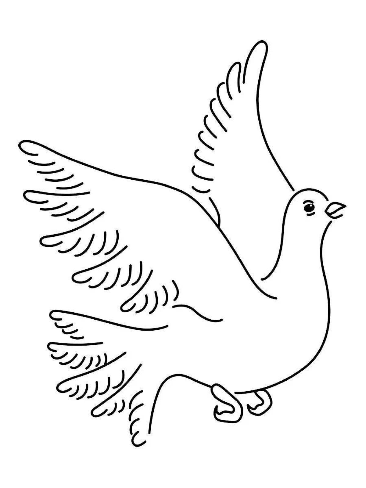 Exciting coloring dove for children 3-4 years old
